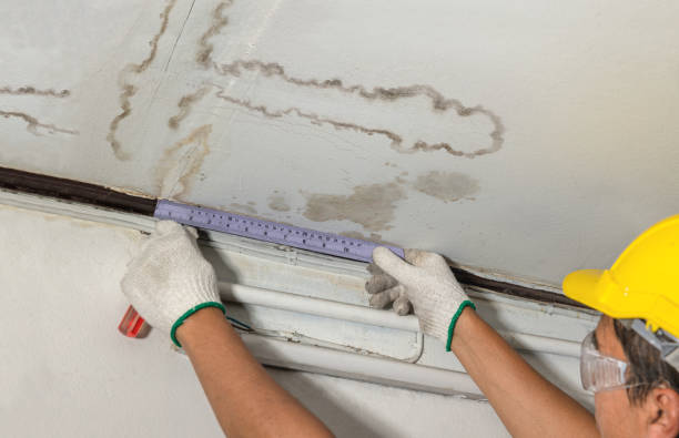 Reliable Basement Flood Cleanup contractor in National City, CA by Aqua Guard Water Damage